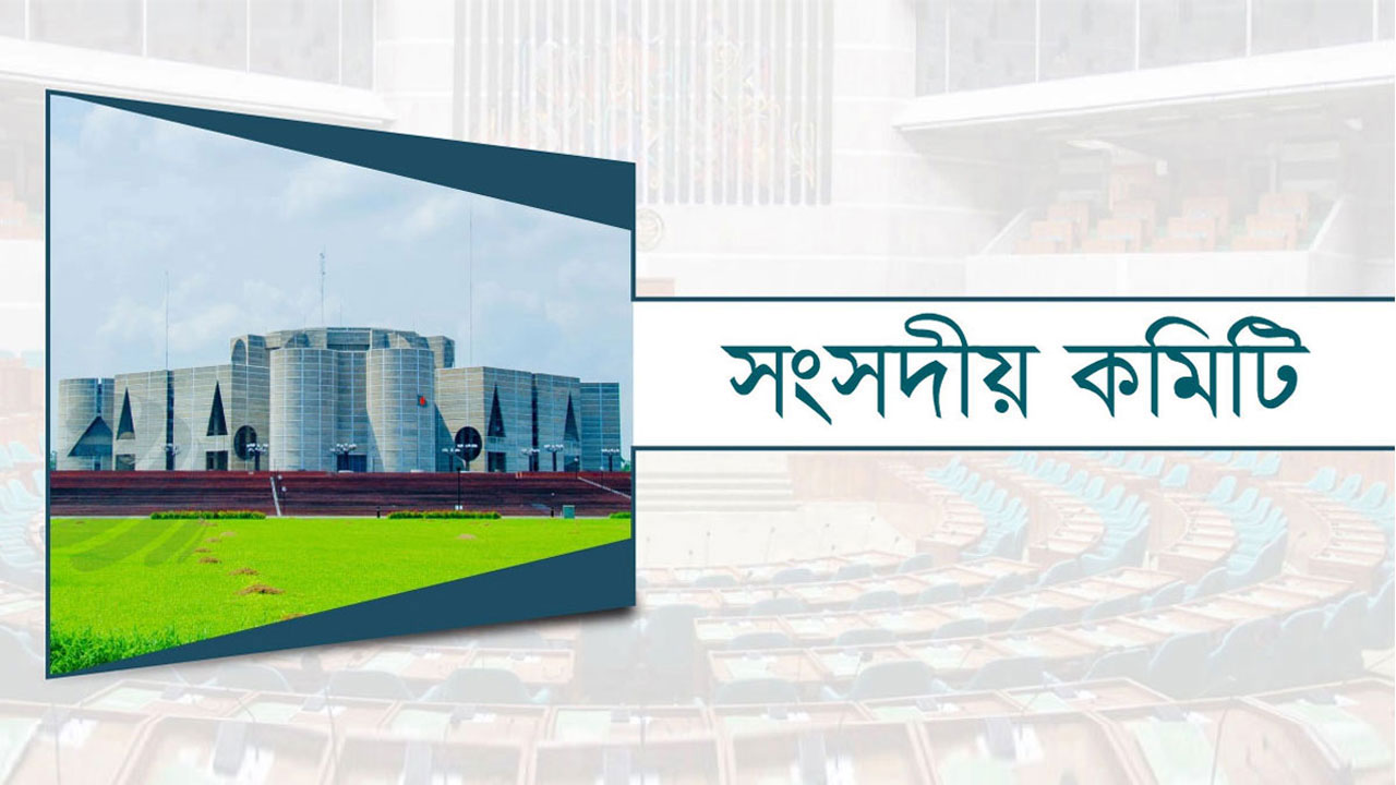 থার্ড টার্মিনাল পরিদর্শন করবে সংসদীয় কমিটি