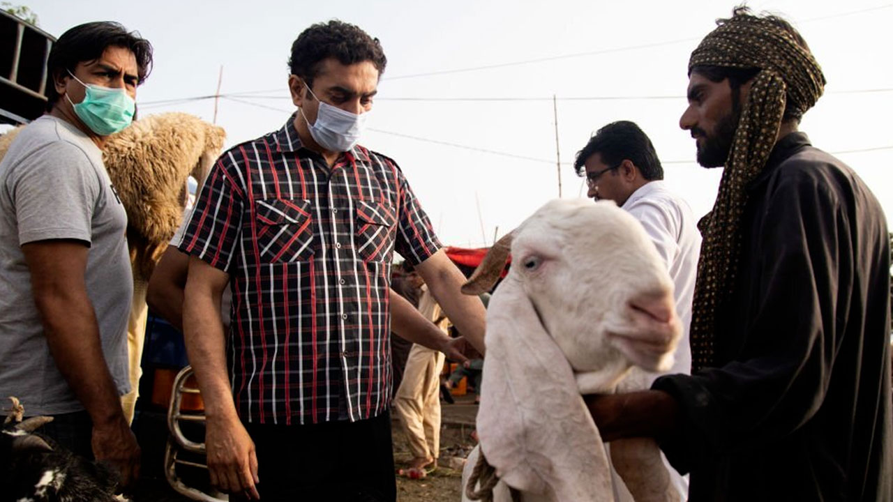 কেনা পশুর বদলে অন্য পশু দিয়ে কোরবানি করা যাবে?