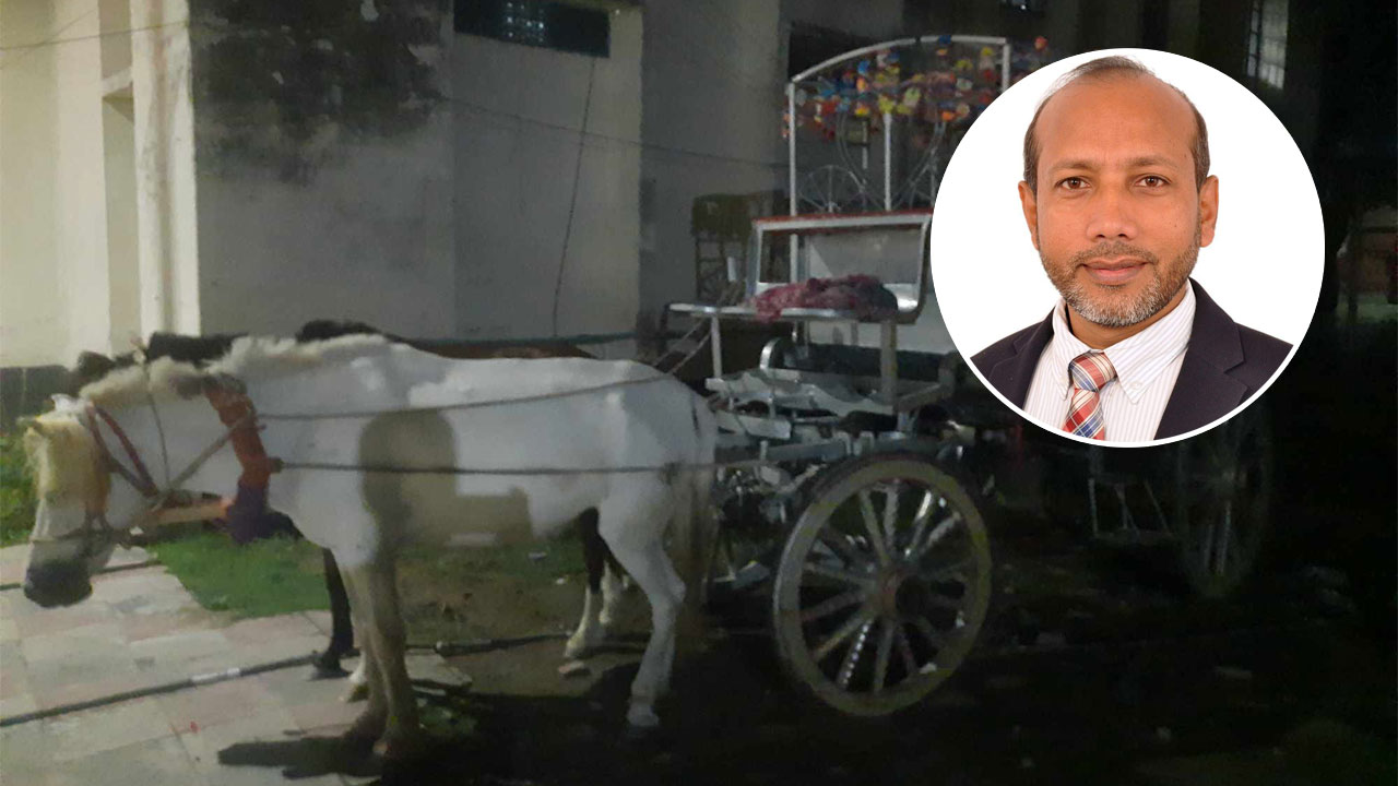 ঘোড়া নিয়ে প্রচারণার জেরে চেয়ারম্যান প্রার্থীকে কারাদণ্ড