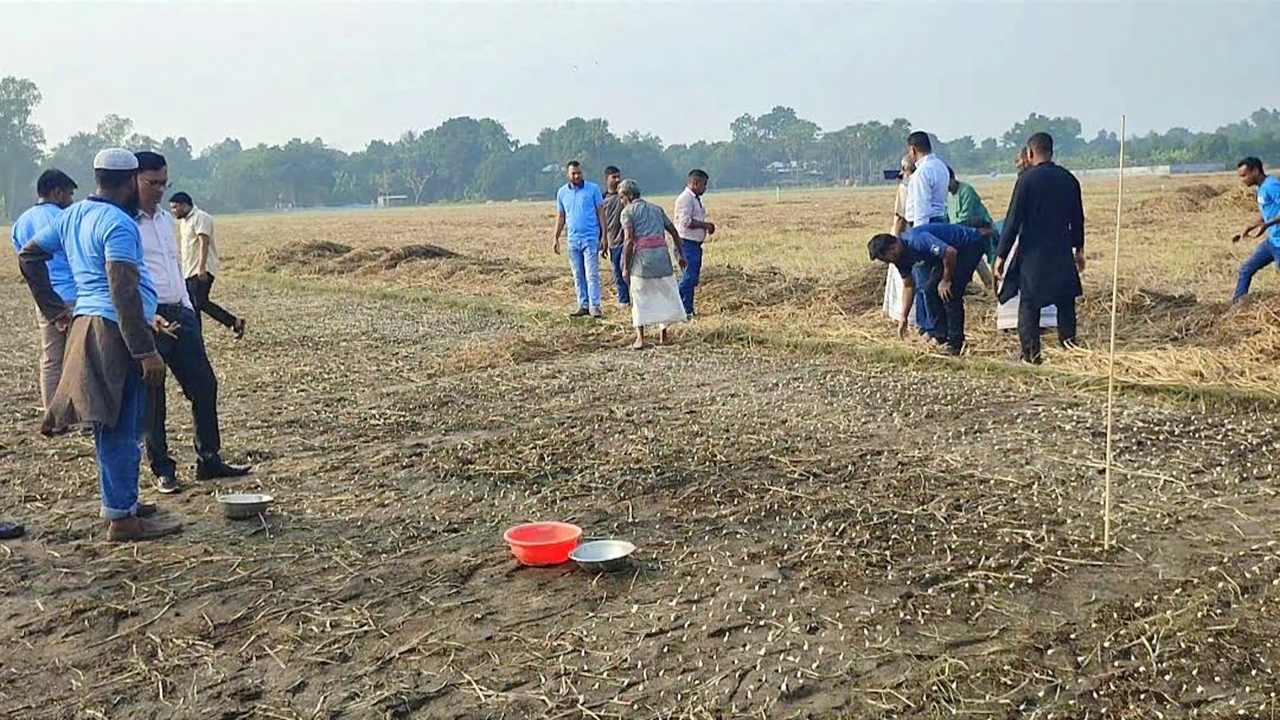 চলনবিলের ফসল চাষ পদ্ধতি ঘটাতে পারে নতুন কৃষি বিপ্লব