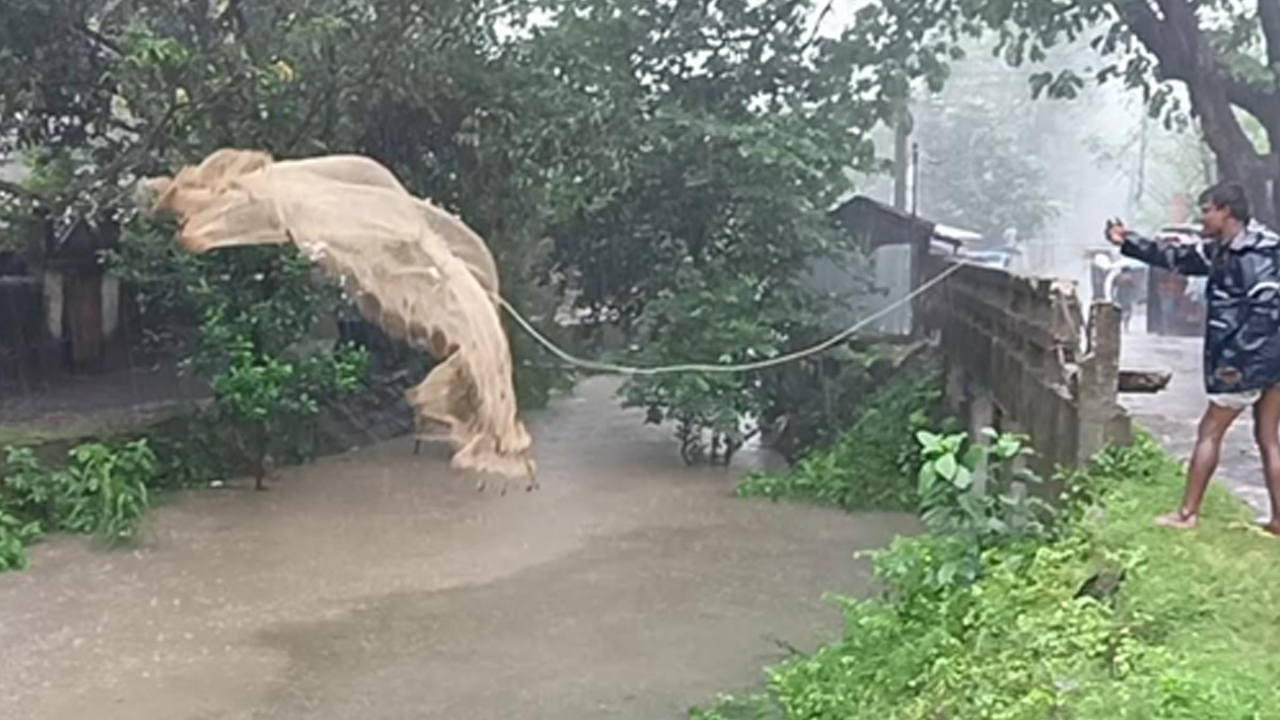 বৃষ্টির পানিতে জাল ফেলে মিলছে রুই-কাতলা-তেলাপিয়া