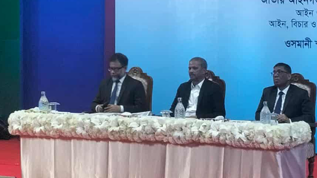 উচ্চ আদালতে আমাদের হস্তক্ষেপের কোনো সুযোগ নেই : আসিফ নজরুল