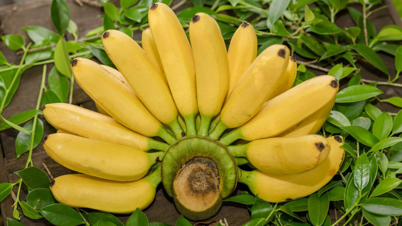 প্রতিদিন একটি কলা খাওয়া কাদের জন্য জরুরি?