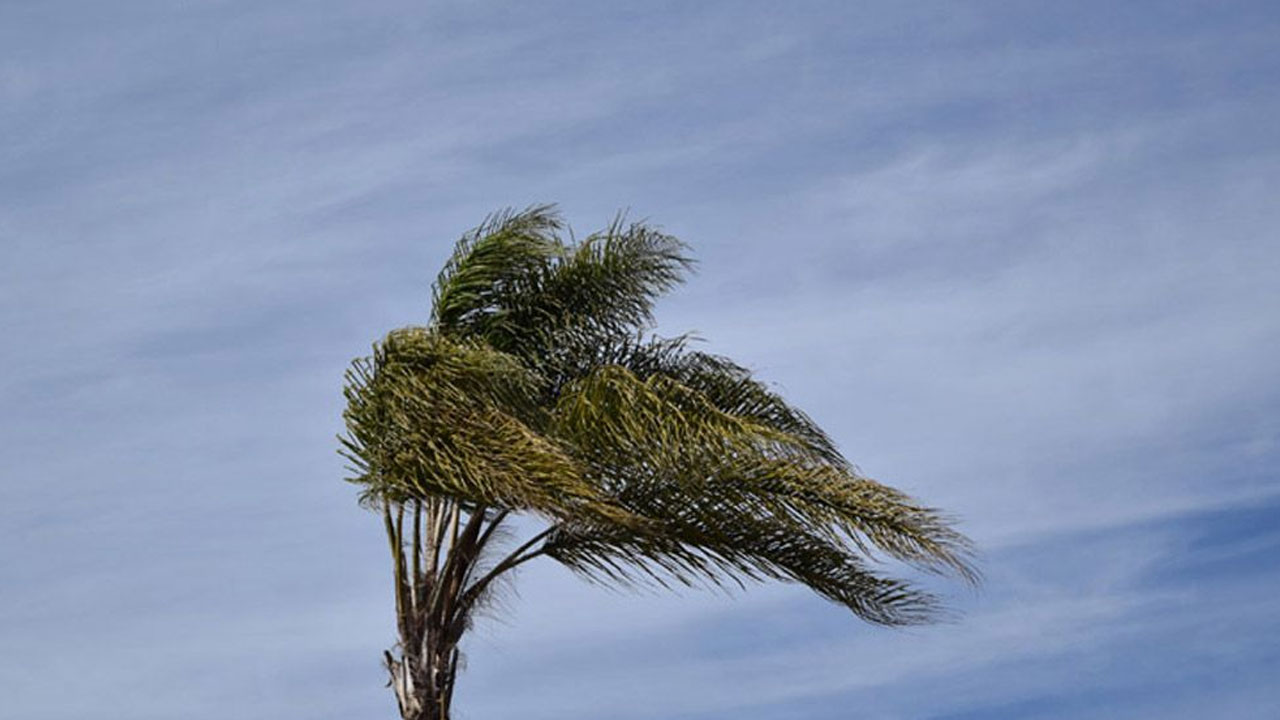 ঢাকায় ঝোড়ো হাওয়া-বজ্রসহ বৃষ্টির আভাস