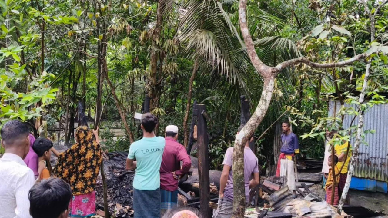 দুর্বৃত্তের আগুনে পুড়ে মরল ৩ গরু