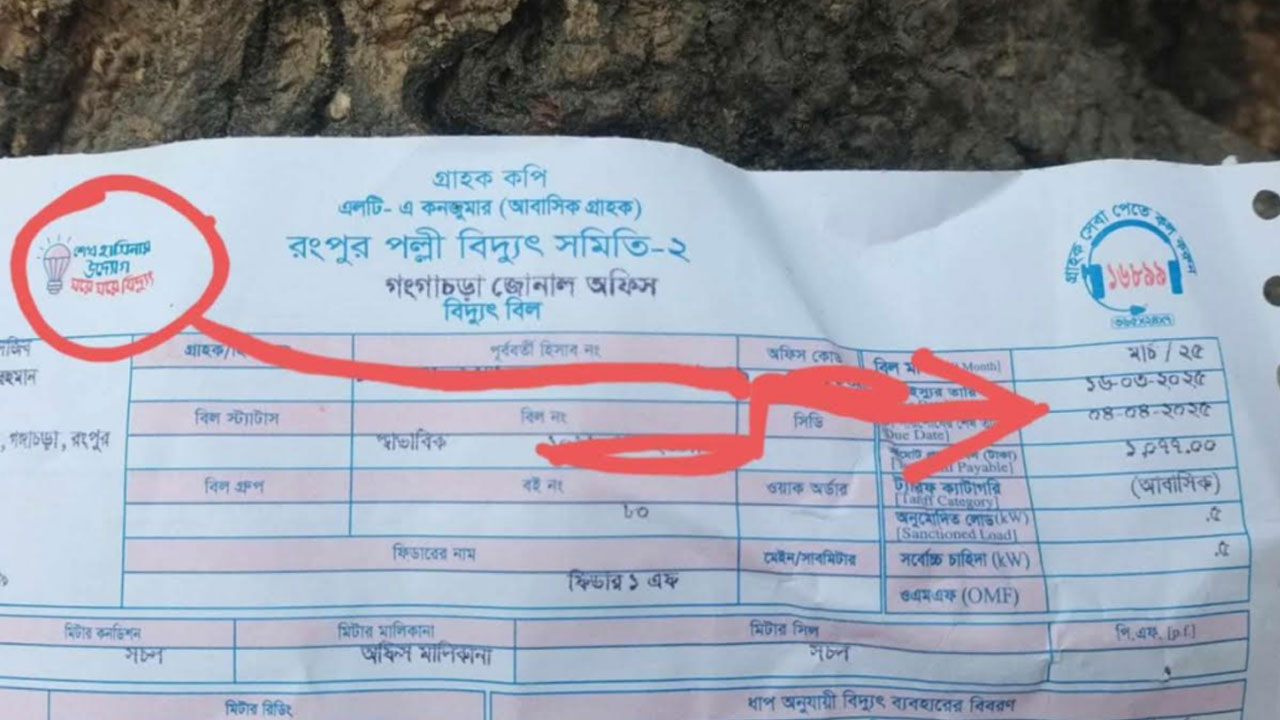 ৮ মাস পরও বিদ্যুৎ বিলে শেখ হাসিনার স্লোগান