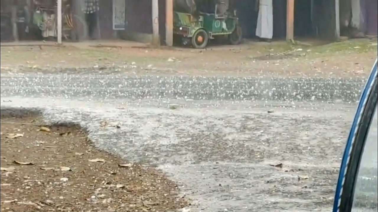 নাটোরের তিন উপজেলায় হঠাৎ শিলাবৃষ্টিতে আম-লিচুর ক্ষতি