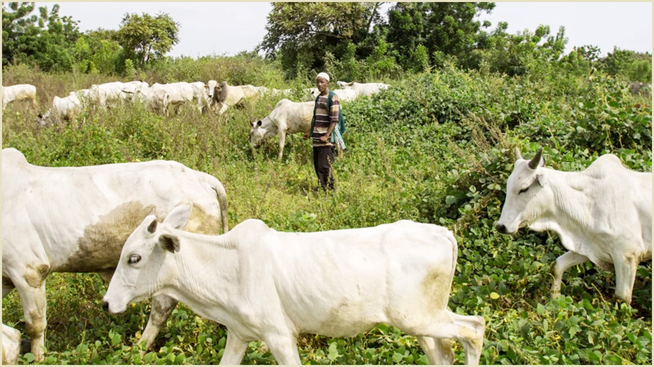 নাইজেরিয়ায় পশুপালকদের হামলায় নিহত ১৭