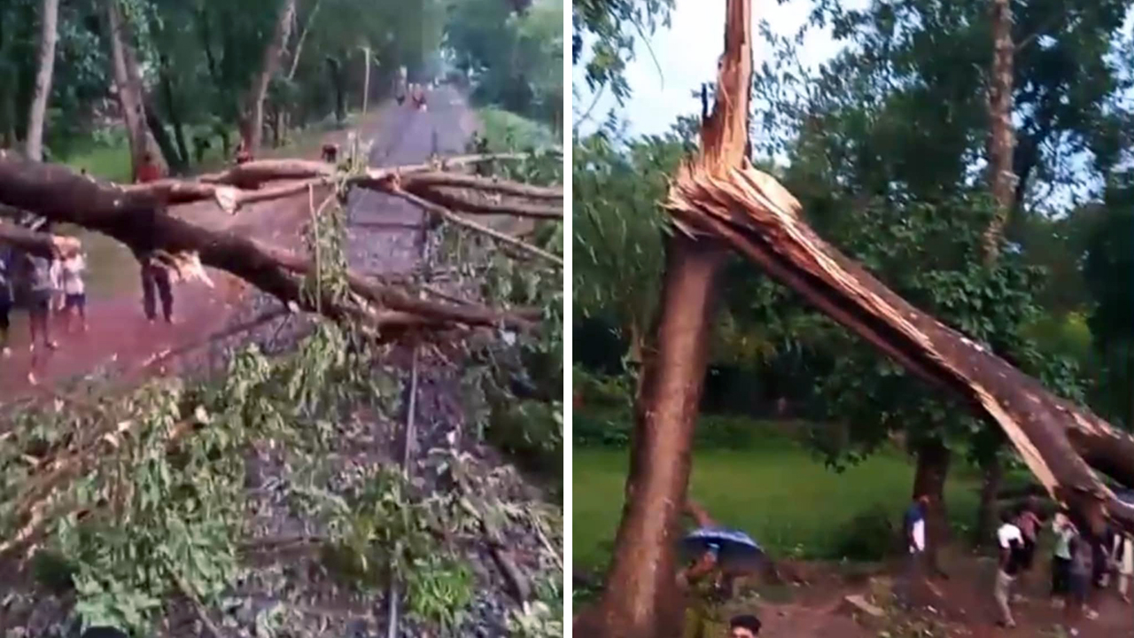 কালবৈশাখী ঝড়ে ভেঙে পড়ল গাছ, পৌনে ১ ঘণ্টা ট্রেন চলাচল বন্ধ