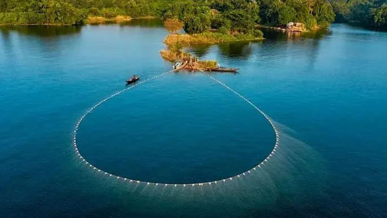 ১ মে থেকে কাপ্তাই হ্রদে মাছ শিকারে তিন মাসের নিষেধাজ্ঞা