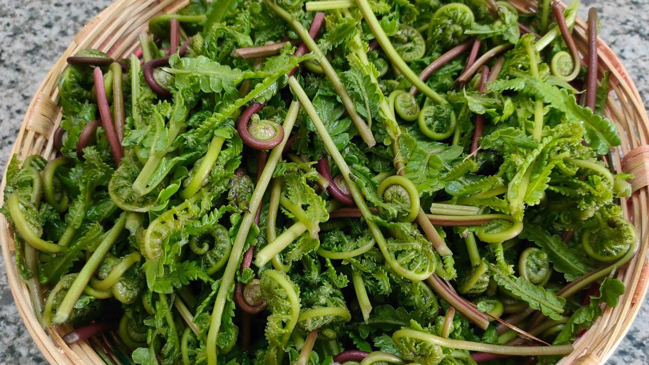 ঢেঁকি শাকের ৫ উপকারিতা