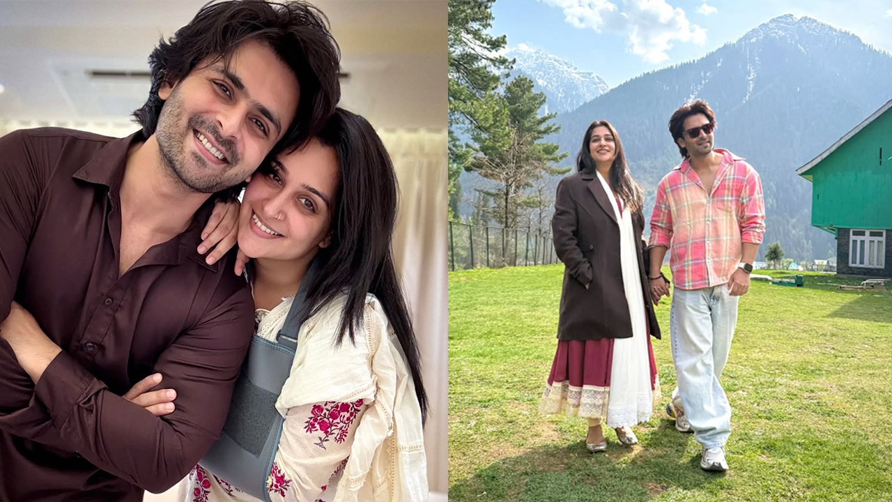 কাশ্মির থেকে ফিরে নতুন ভ্লগের ঘোষণা, তোপের মুখে তারকা দম্পতি