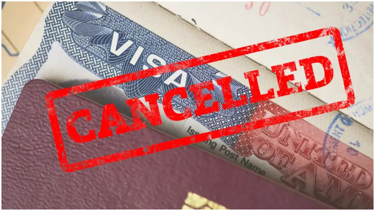 ভিসা বাতিল হওয়া অর্ধেকই ভারতীয় শিক্ষার্থী, দাবি কংগ্রেস নেতার