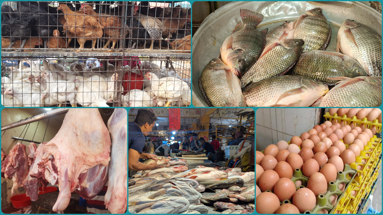 মুরগি–গরু–মাছের বাজারে আগুন, হাঁসফাঁস ক্রেতাদের