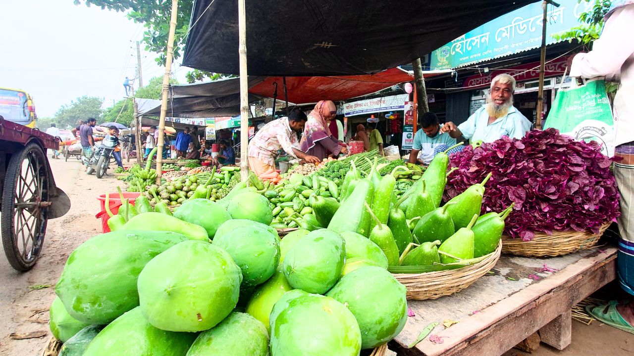 বৃষ্টির প্রভাবে কমেছে সবজির উৎপাদন, বাজারে দামও চড়া
