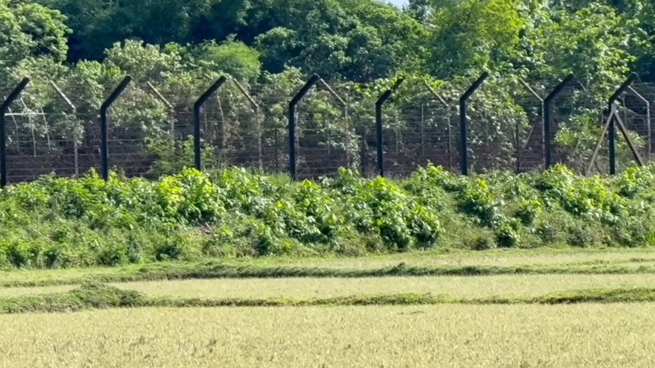ফেনী সীমান্ত থেকে বাংলাদেশিকে ধরে নিয়ে গেল বিএসএফ