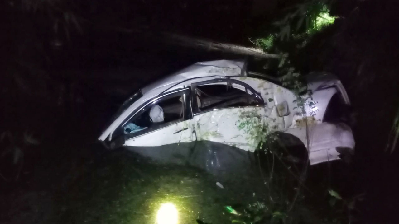 গাছে প্রাইভেট কারের ধাক্কা, নিহত ১