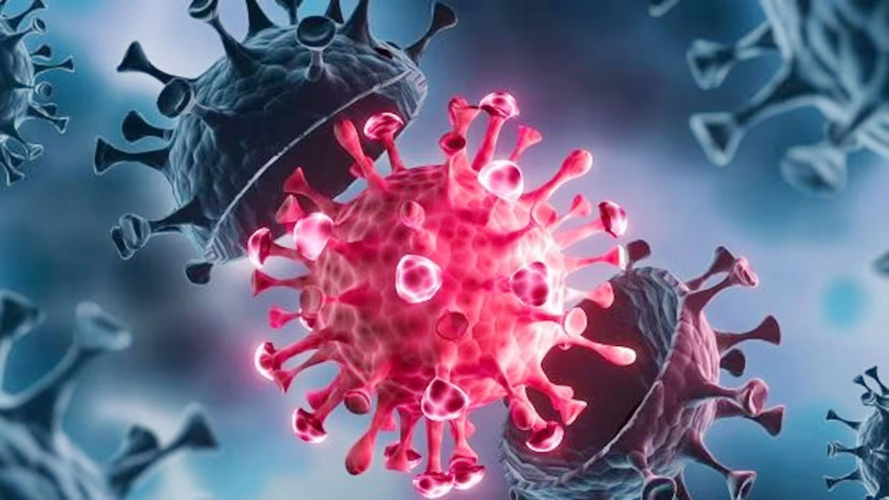 করোনায় একজনের মৃত্যু