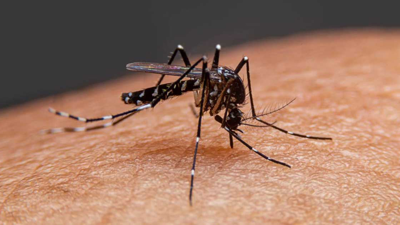 চট্টগ্রামে বাড়ছে ডেঙ্গু-চিকুনগুনিয়া রোগী