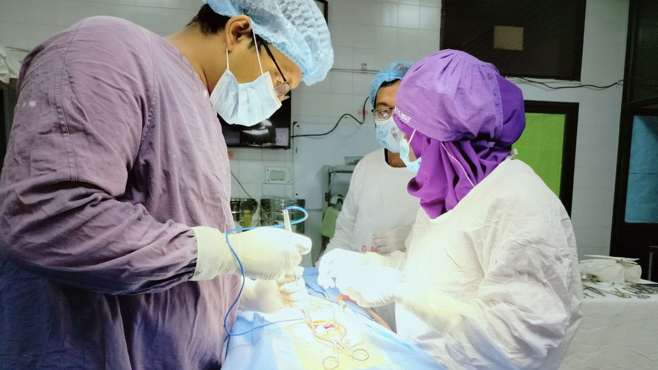 আকাশ থেকে গুলি: শিশু রিয়া গোপের মৃত্যু ও মুসার লড়াই