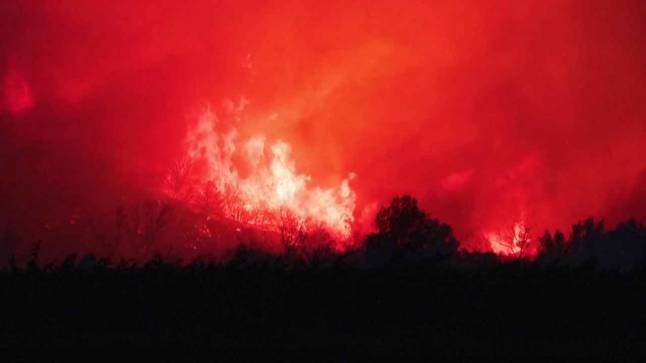 ফ্রান্সে ভয়াবহ দাবানল, পুড়ে গেছে ৪২ হাজার একর এলাকা