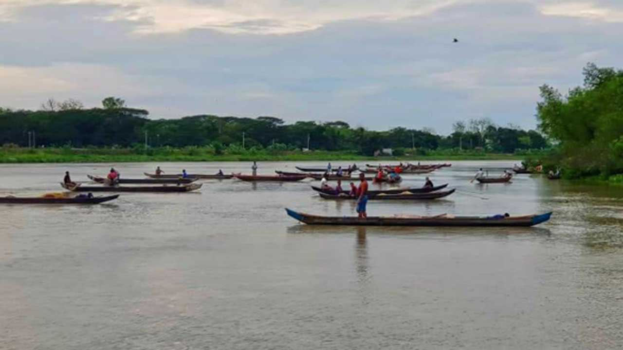 হালদা নদীর শাখা খাল থেকে মৃত ডলফিন উদ্ধার