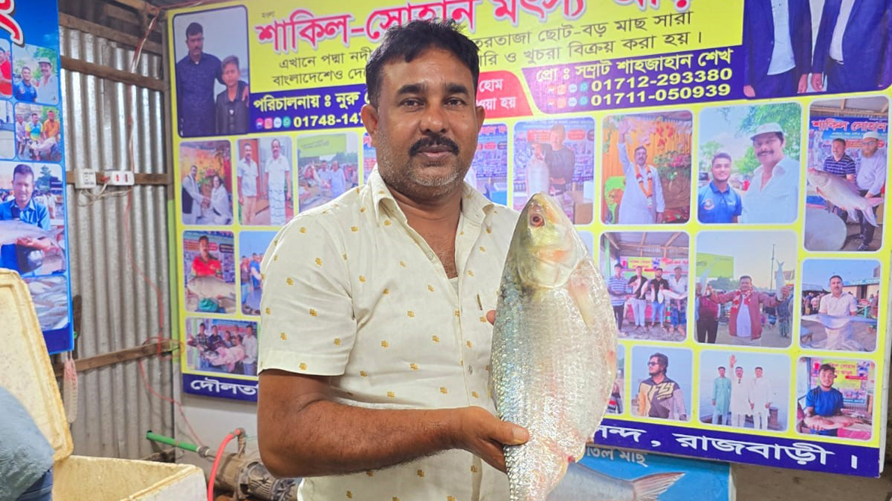 রাজবাড়ীতে আড়াই কেজির ইলিশ সাড়ে ১৪ হাজারে বিক্রি