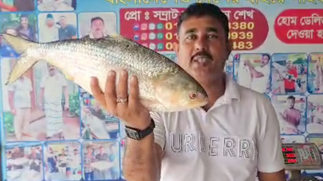 পদ্মার এক ইলিশ বিক্রি হলো সাড়ে ১২ হাজার টাকায়