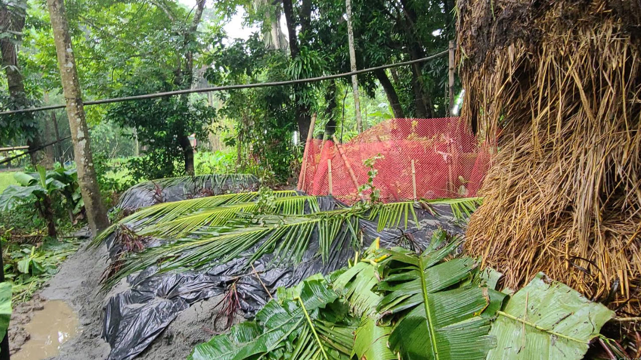 দুই পুত্রবধূ ও তিন নাতনিকে নিয়ে পাশাপাশি কবরে শুয়ে মোরশেদা বেগম