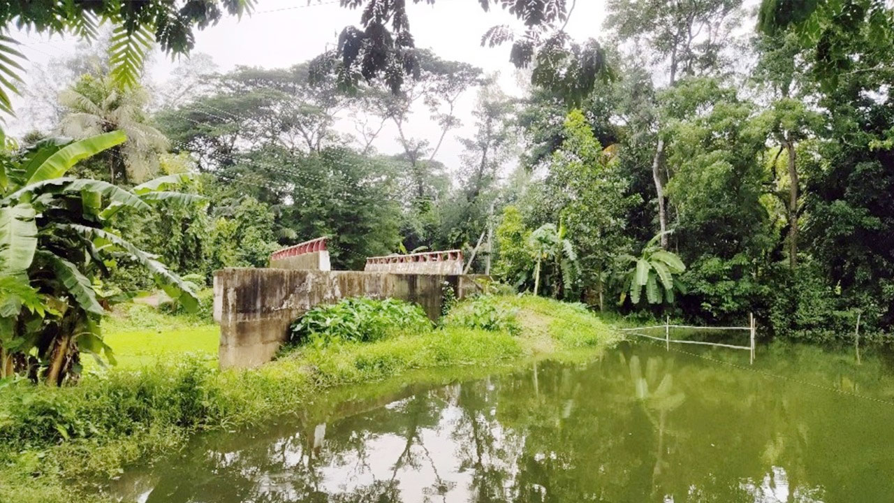কাজে আসছে না দেড় কোটি টাকার সেতুটি