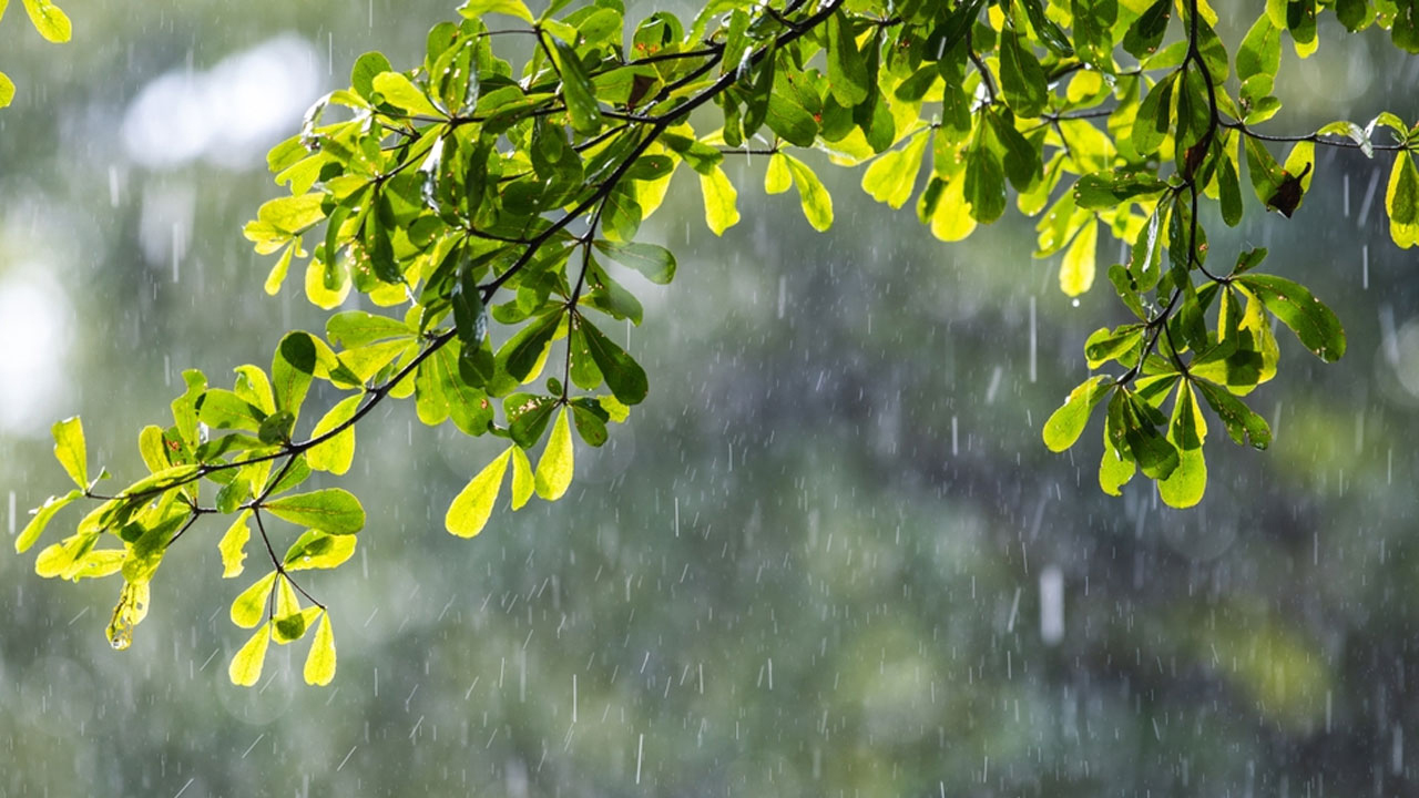 ঢাকায় হালকা বৃষ্টির সম্ভাবনা, কমতে পারে তাপমাত্রা