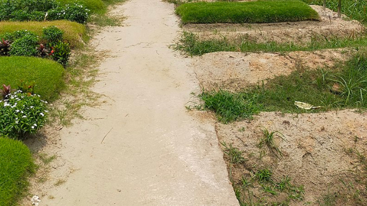 বিকেলে রায়েরবাজার কবরস্থান থেকে অজ্ঞাত লাশ উত্তোলন শুরু