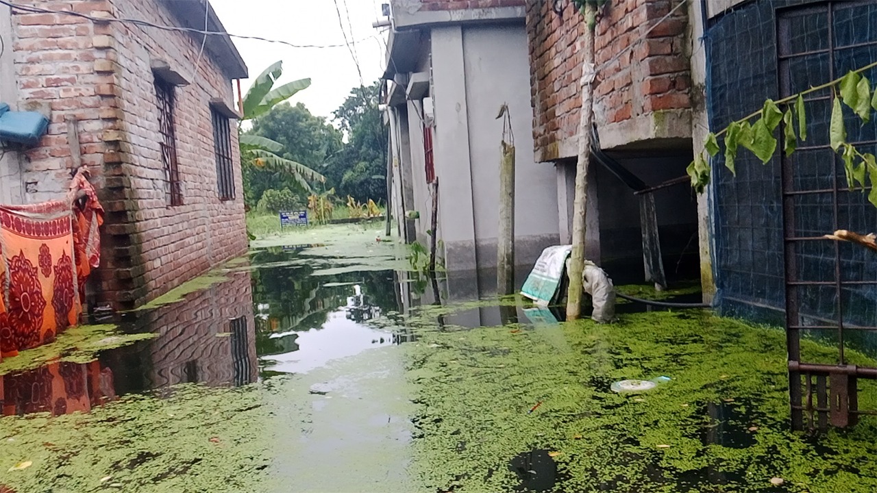 অল্প বৃষ্টিতেই জলাবদ্ধতা, সাভারে পানিবন্দি অর্ধশত পরিবার
