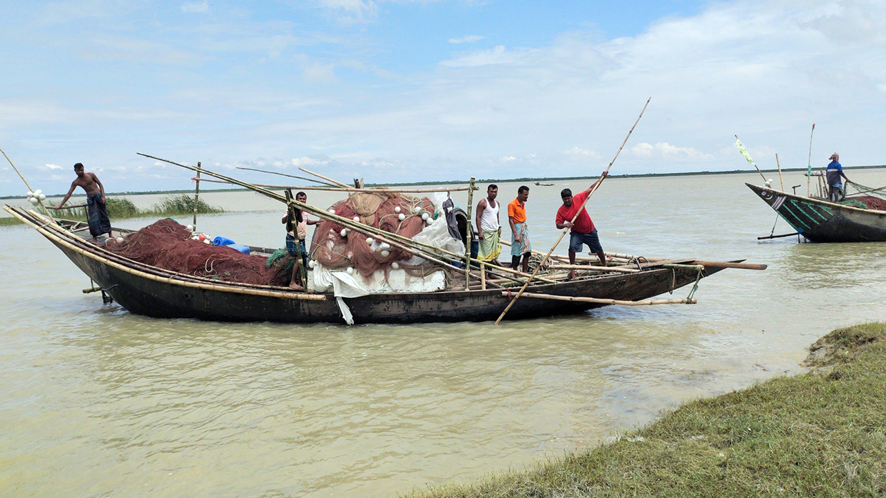 ভরা মৌসুমেও পদ্মা-মেঘনায় ইলিশ সংকট