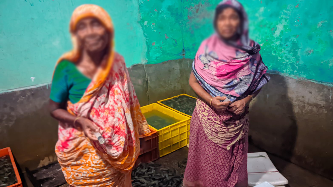 চিংড়িতে জেলি পুশ, ব্যবসায়ীকে ১ লাখ ২০ হাজার টাকা জরিমানা