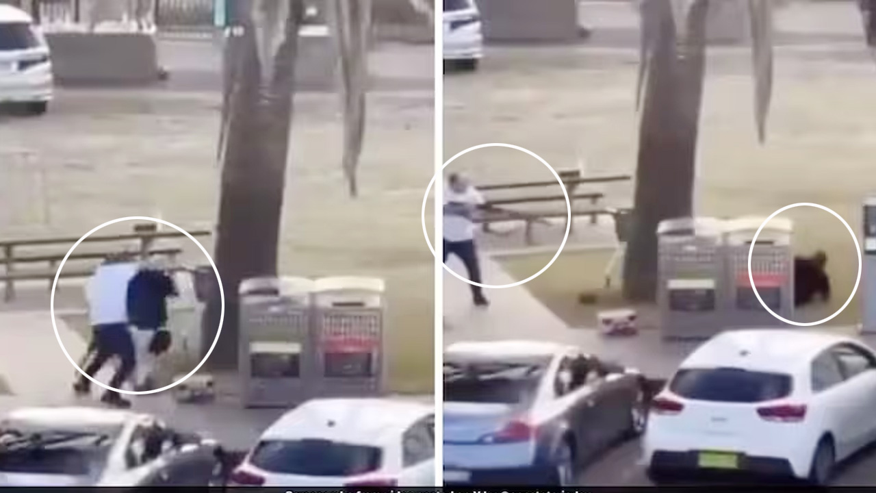 ভিডিও: সিডনির হামলাকারীর অস্ত্র কেড়ে নিলেন নিরস্ত্র ব্যক্তি
