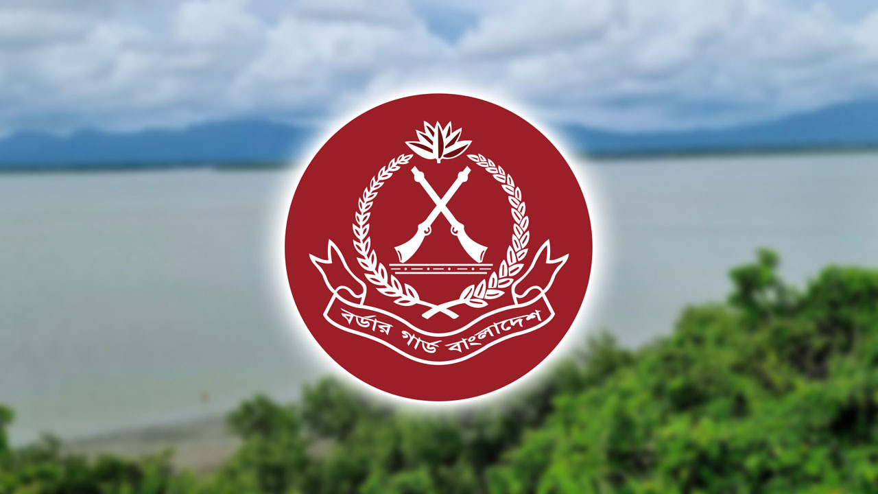 বিজিবির অভিযানে ১৬৮ কোটি টাকার চোরাচালান জব্দ