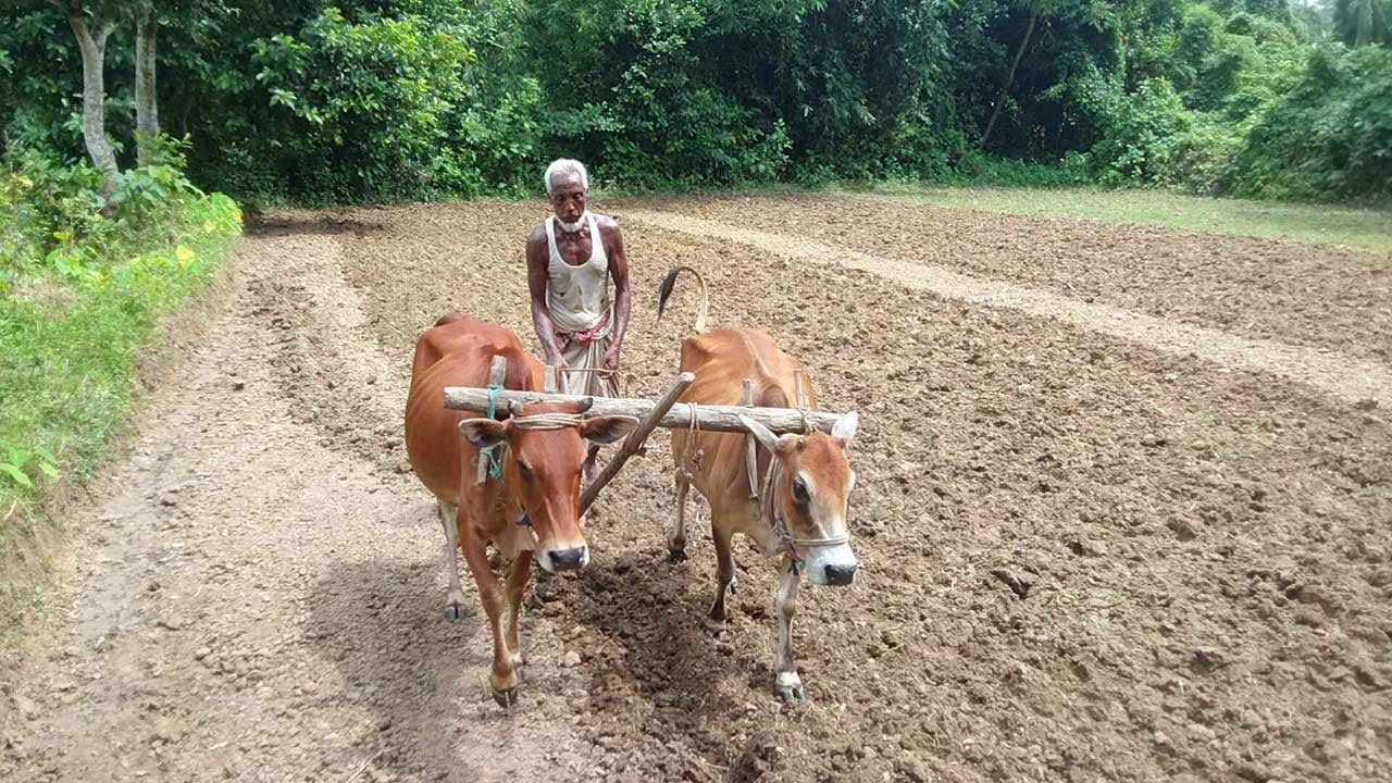 অনিশ্চয়তার আঁধারে নতুন আলোর খোঁজ দিচ্ছে আই-ফার্মার