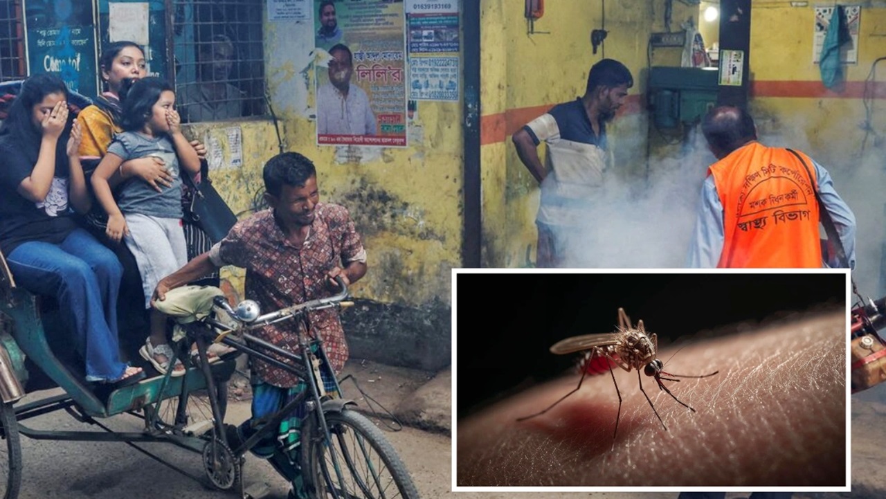 ডেঙ্গুতে দুজনের মৃত্যু, হাসপাতালে ভর্তি ৬১০