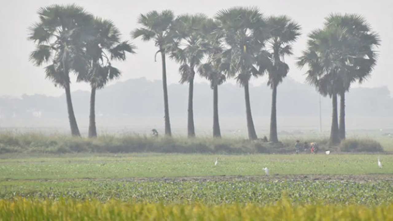 হালকা কুয়াশা পড়ার আভাস