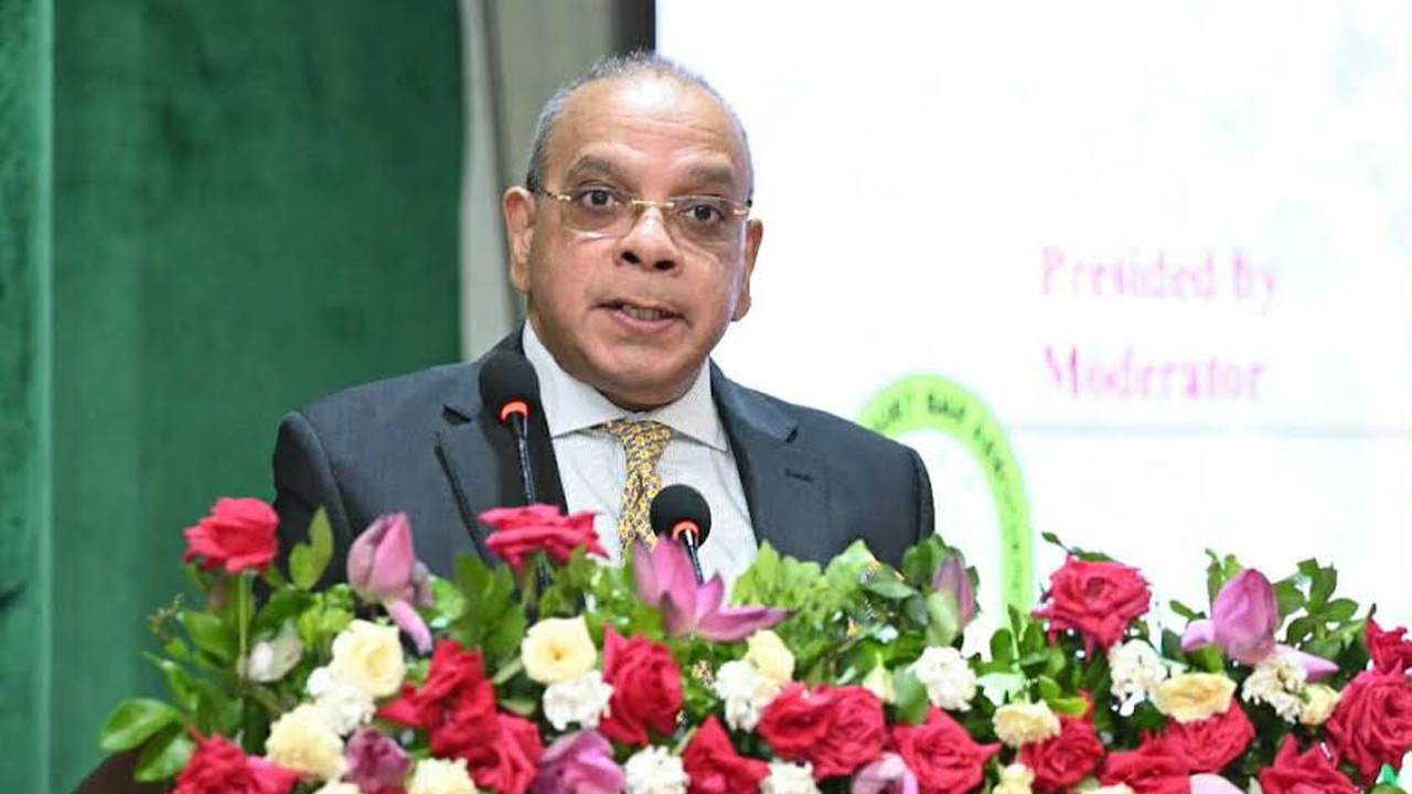 সংবিধান পরিবর্তনকে হুমকি নয়, গণতান্ত্রিক সত্য হিসেবে গ্রহণ করতে হবে