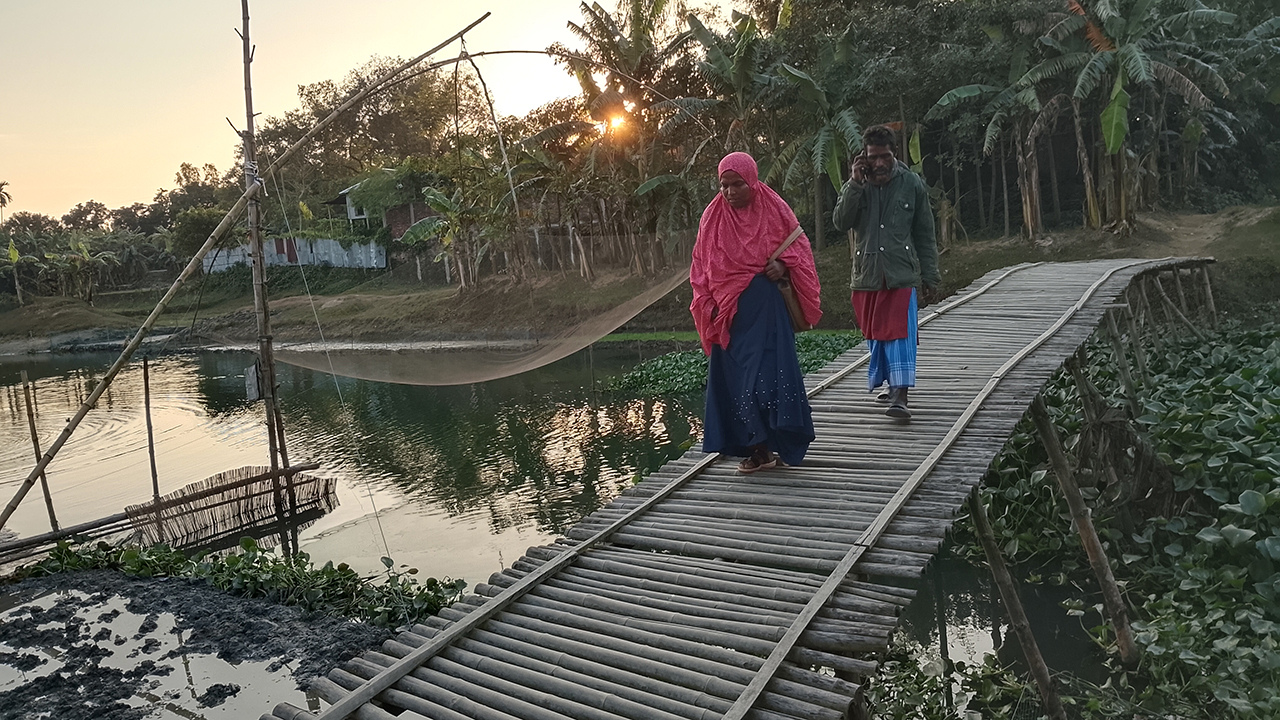 বাঁশের সাঁকোই ভরসা হাজারো মানুষের