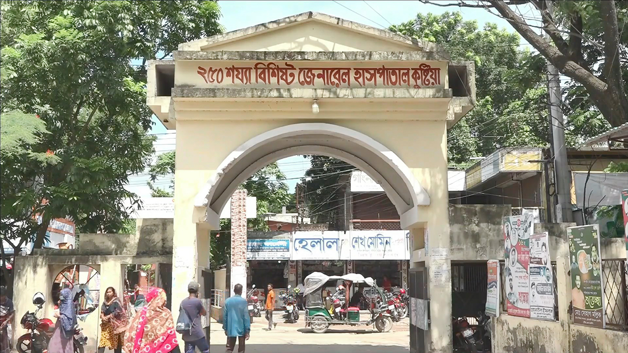 কুষ্টিয়ায় চাচাতো ভাইয়ের হাতে ভাই খুন