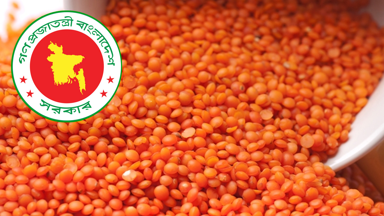 ৭২ টাকা কেজি দরে ১০ হাজার টন মসুর ডাল কিনবে সরকার
