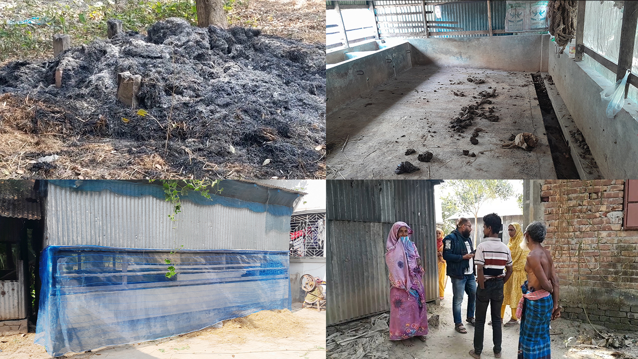 খড়ের পালায় আগুন লাগিয়ে ৪ গরু চুরির অভিযোগ