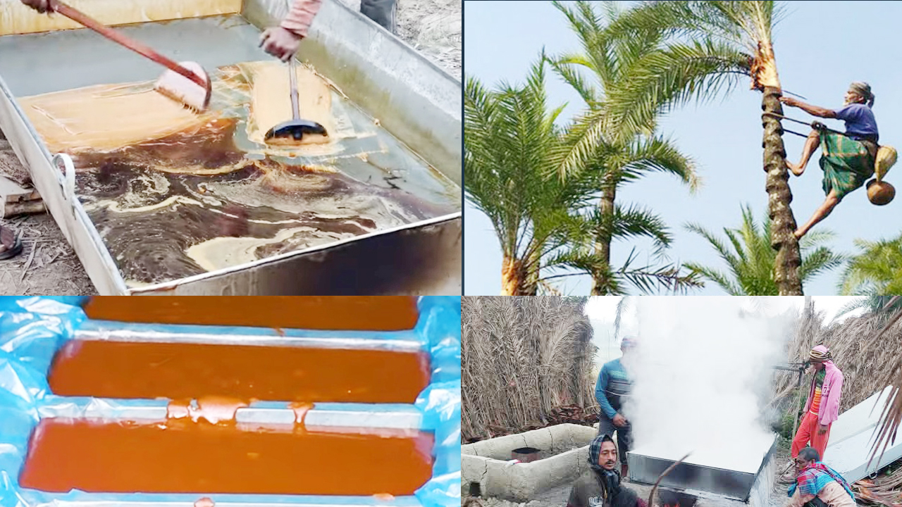 কমে গেছে খেজুর গাছ, বাজারে গুড়-পাটালির দামে আগুন