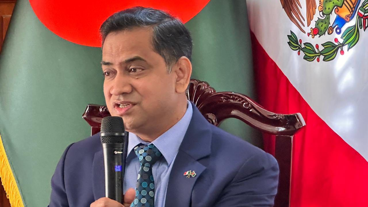 হাদির ওপর আক্রমণ কাপুরুষোচিত : রাষ্ট্রদূত আনসারী