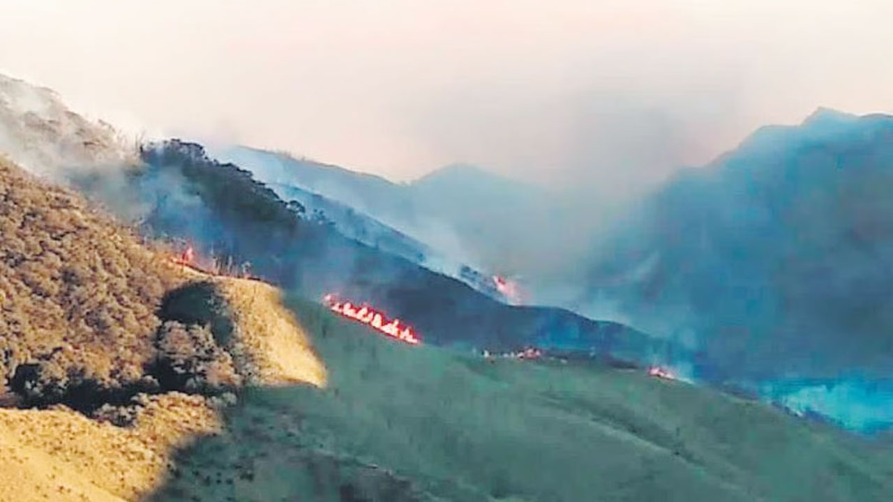 ভারতের নাগাল্যান্ডে দাবানল, ৩ দিন ধরে জ্বলছে জুকো উপত্যকা