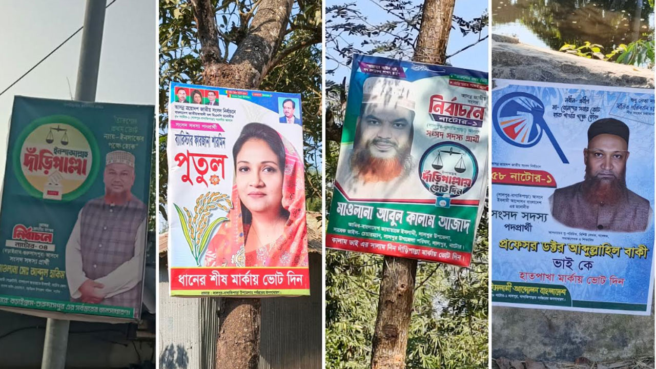 তফসিল ঘোষণার ৬ দিন পরও নাটোরজুড়ে পোস্টার-ফেস্টুন