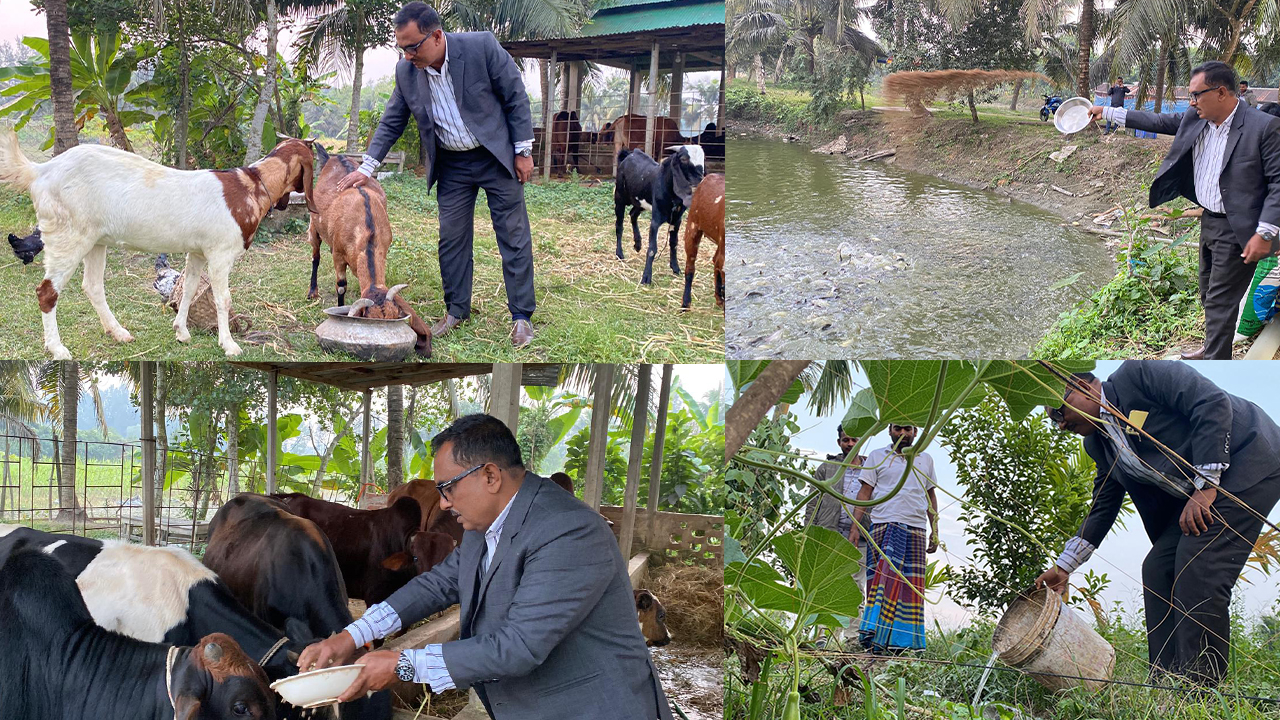 শিক্ষক থেকে সফল কৃষি উদ্যোক্তা, মাসে আয় লাখ টাকা
